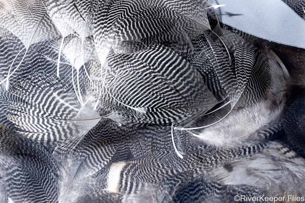 Teal Feathers | www.johnkreft.com