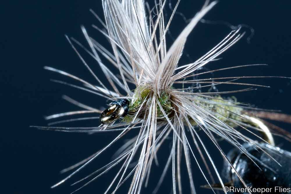 Thorax Dun Close-up | www.riverkeeperflies.com