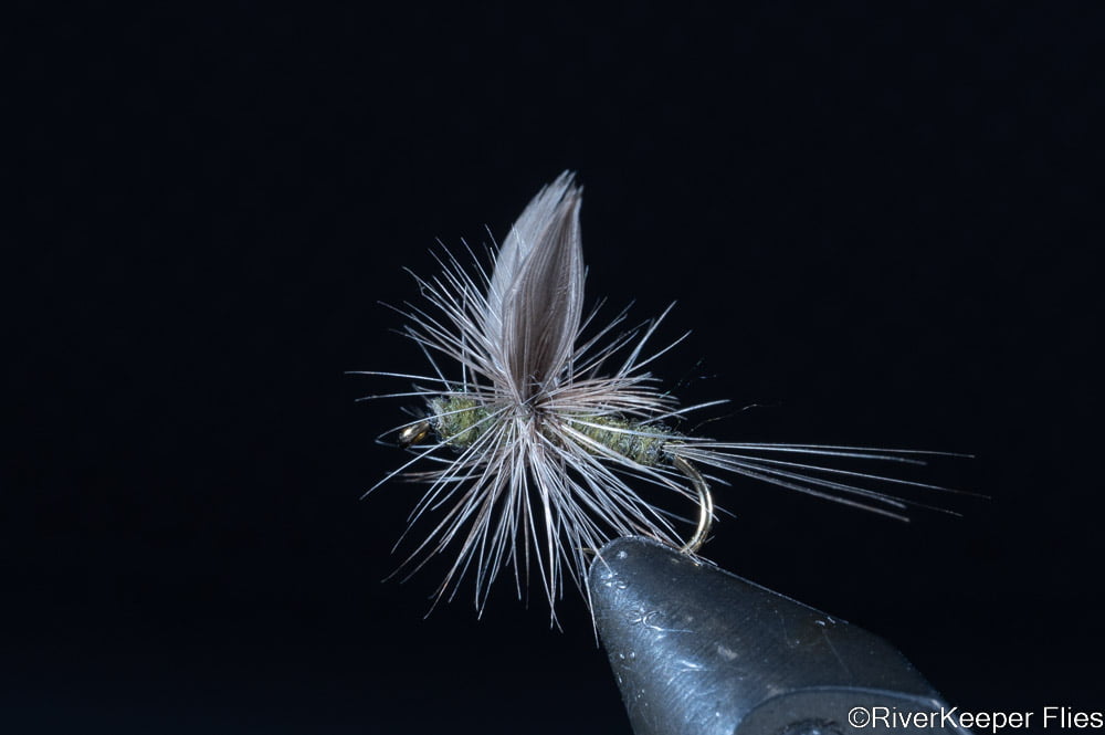 Thorax Dun | www.riverkeeperflies.com