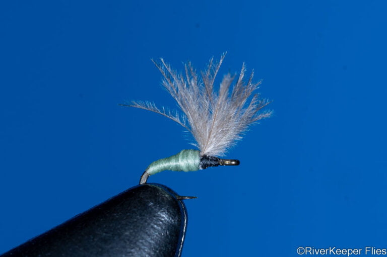 Tiny Midge Adult with Upright Wings | www.riverkeeperflies.com