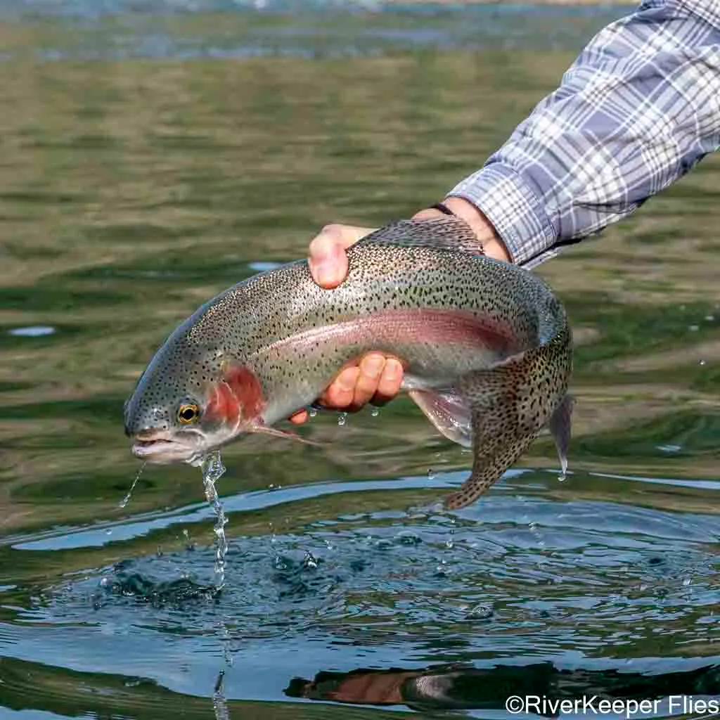 Upper Columbia River - Blooper 3 | www.johnkreft.com
