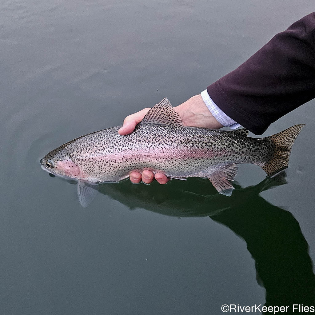 Upper Columbia River Rainbow | www.johnkreft.com