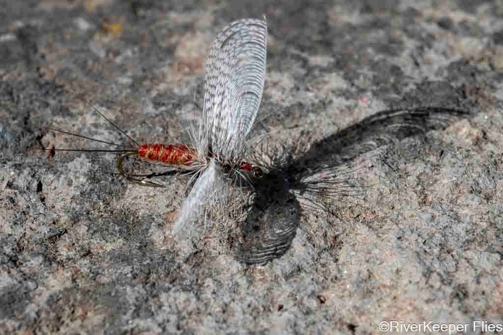 Wally Wing Green Drake Spinner | www.johnkreft.com