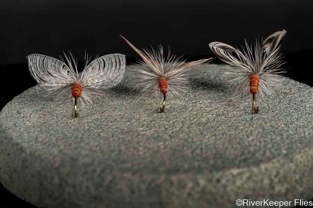 Wally Wing versus Wonder Wing Green Drake Spinners - Back View | www.johnkreft.com