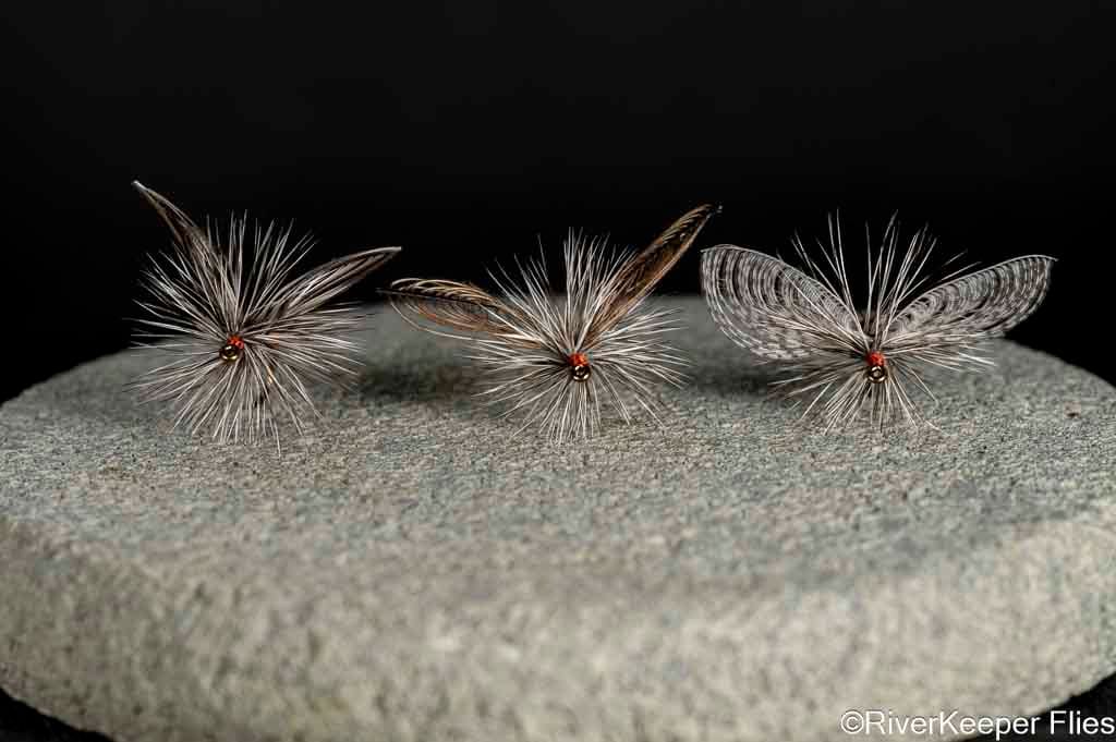 Wally Wing versus Wonder Wing Green Drake Spinners - Front View | www.johnkreft.com