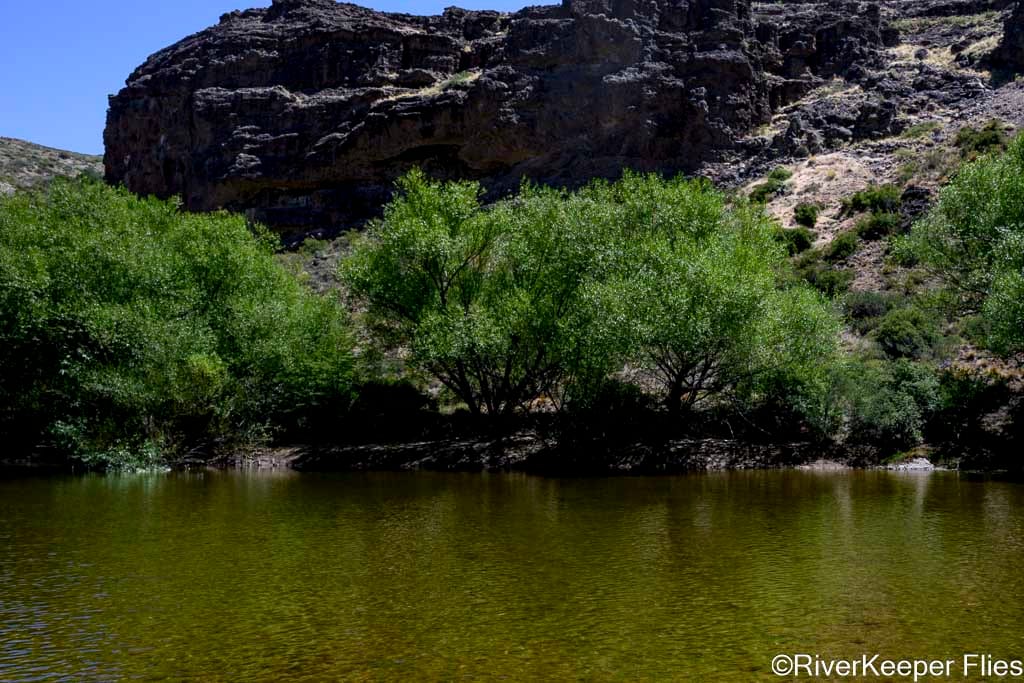 Willow Trees in the Rio Trocoman Canyon | www.johnkreft.com