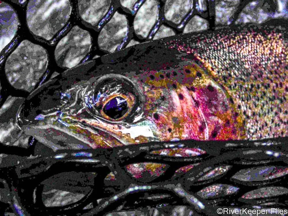 Winter Metolius Rainbow | www.johnkreft.com